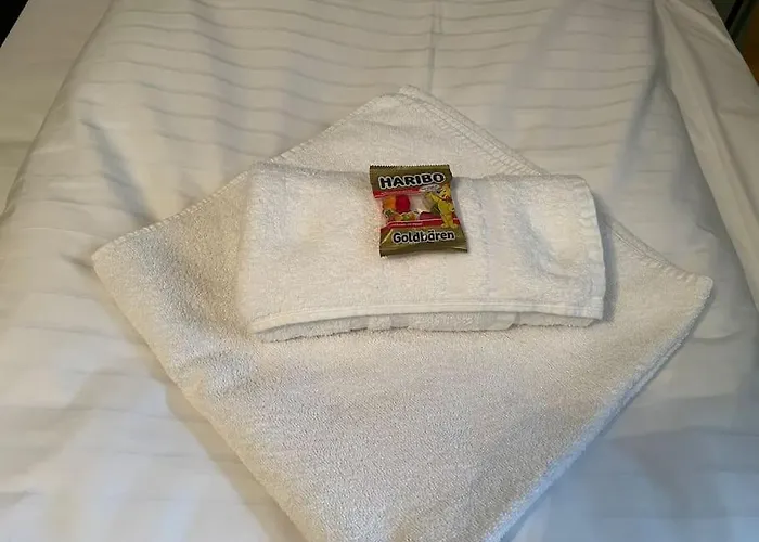 Appartio - Fuer 2 - Kueche - Wifi - Altstadtlage Worms